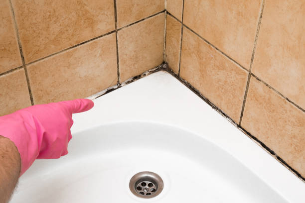 Best Mold Testing  in Mcdonald, OH